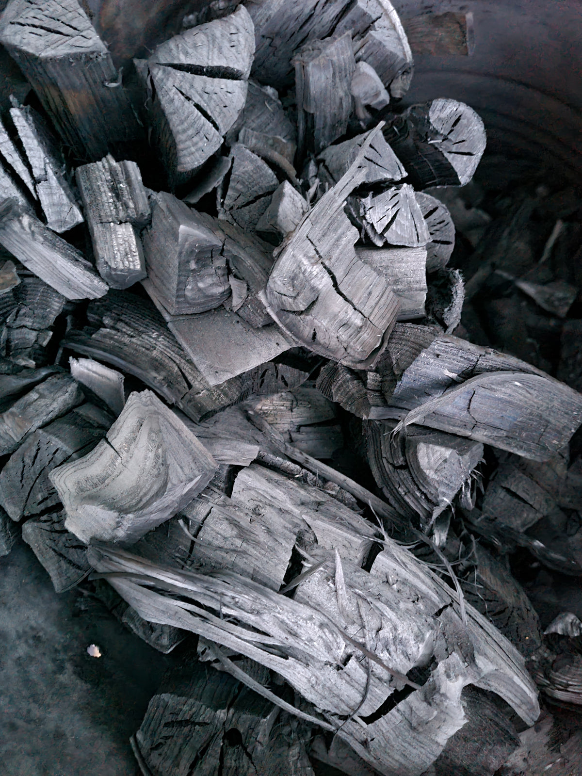 Myths and Legends - British Ash Charcoal - 2026 harvest