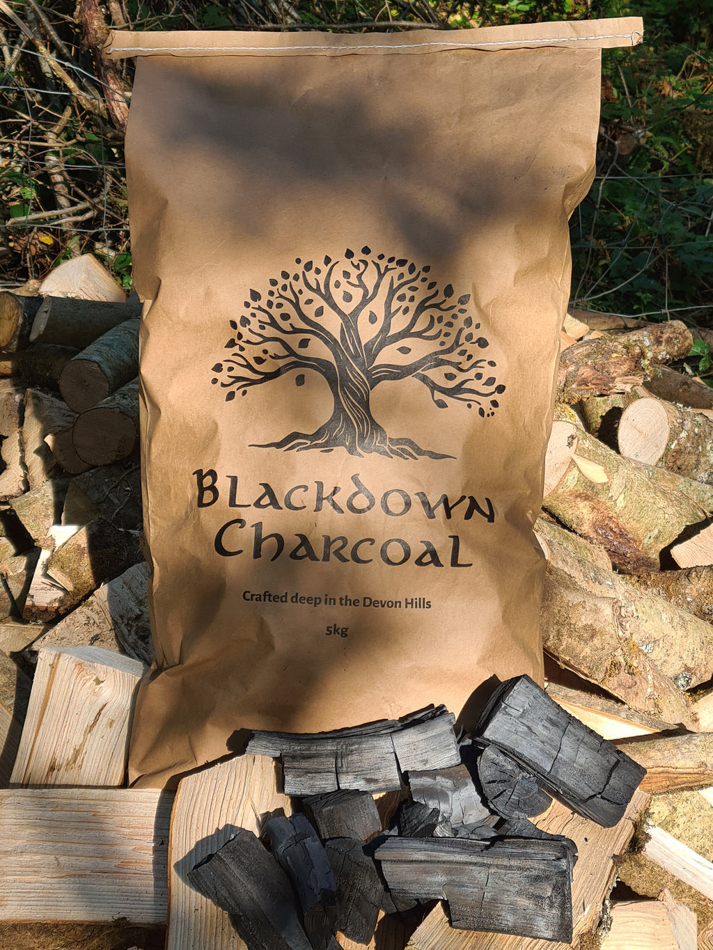 Blackdown Ash - British Ash Charcoal - 2026 harvest